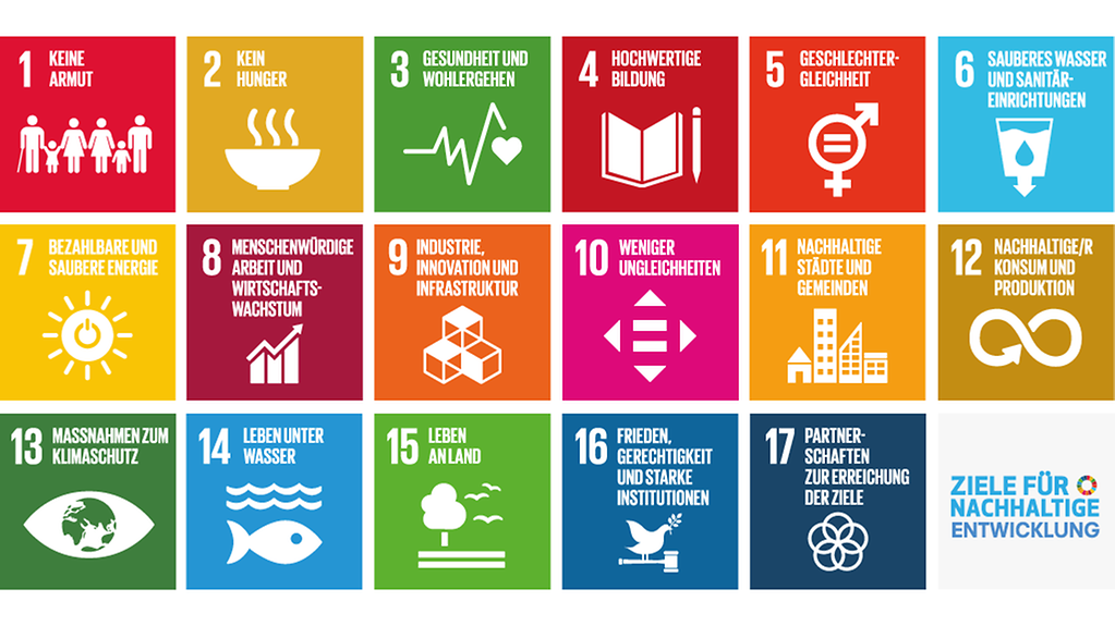 17 globale Sustainable Development Goals